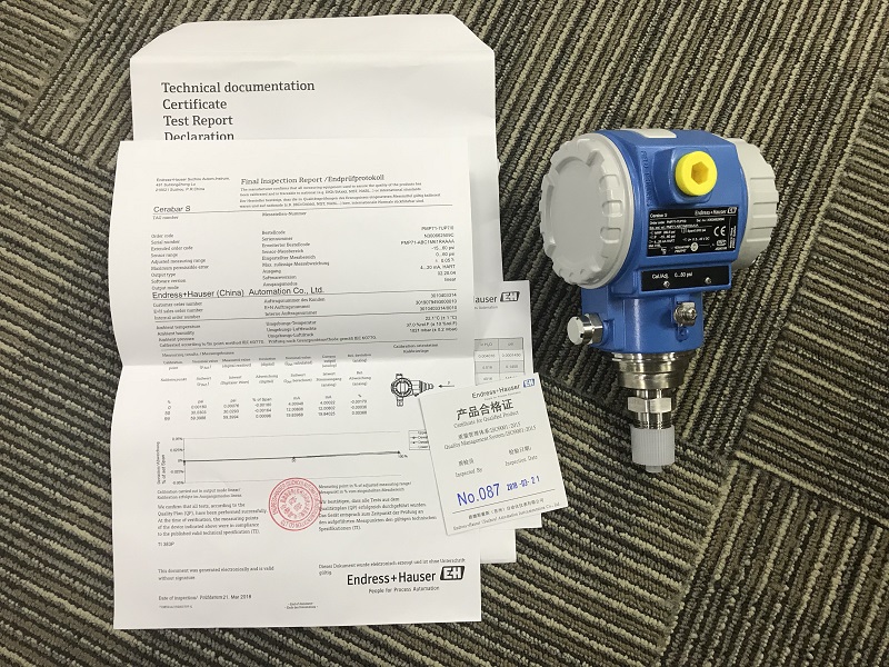 Endress hauser Gauge pressure Cerabar Endress hauser PMC11